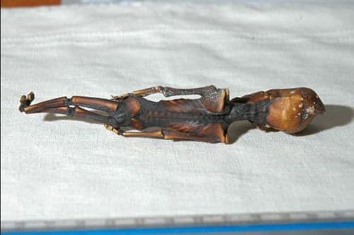 एवढं समजूनही अनेक प्रश्न अनुत्तरीतच राहिले होते.