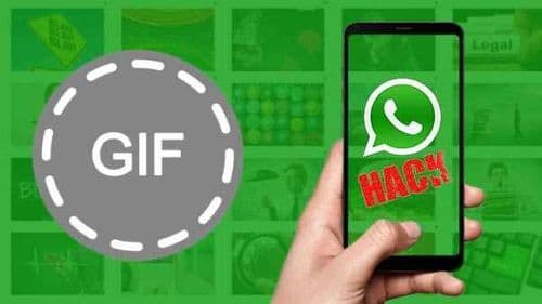 एक GIF तुमचा व्हॉट्सॲप हॅक करू शकते... तुमच्याकडे व्हॉट्सॲपचं कोणतं व्हर्जन आहे पाहा !!