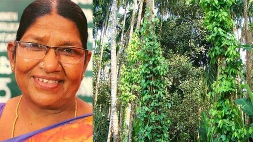 २० लाख झाडे लावणाऱ्या एका सामान्य महिलेचा यूनेस्कोतर्फे पुरस्काराने सन्मान !!
