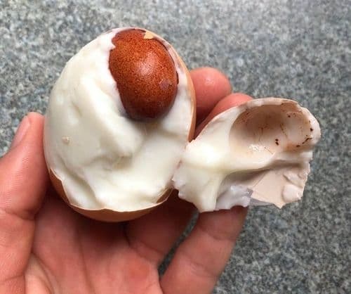 १. अंड्यातलं अंडं