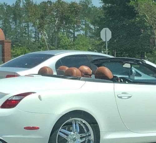 ६. किती लोक बसलेत?