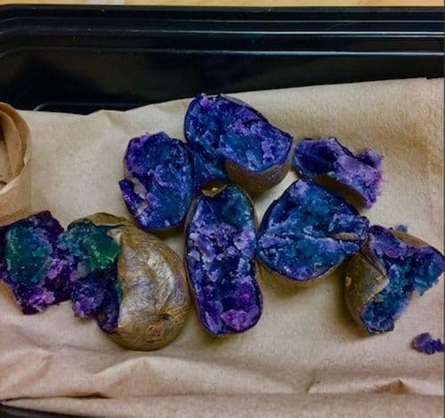 ३. हे बटाटे आहेत यावर विश्वास बसेल का? 