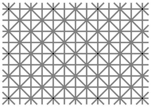 १३. या फोटोमध्ये एकूण किती काळे बिंदू दिसतात?