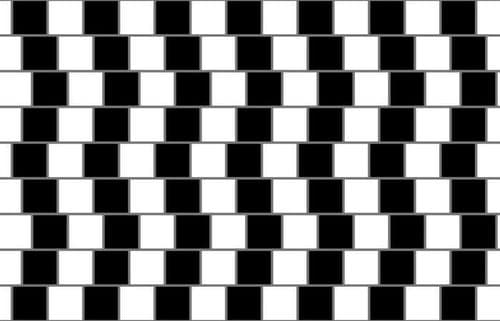 १४. या फोटोत राखाडी रेषा दिसतात का?