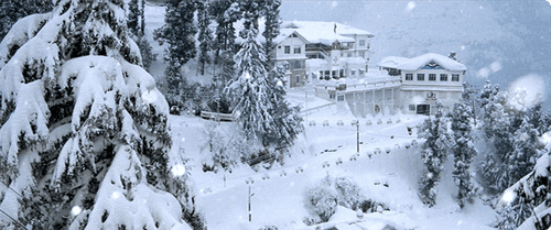 मनालीला फिरायला गेलात तर या फसवणूकीला बिल्कुल बळी पडू नका..