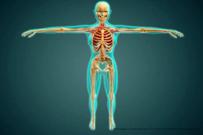 आयुर्वेद सांगतय: निरोगी दीर्घायुष्यासाठी शरीर कसं असावं?
