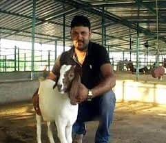 सांगलीचा तेजस लेंगरे बनला शेळीपालनाद्वारे यशस्वी उद्योजक