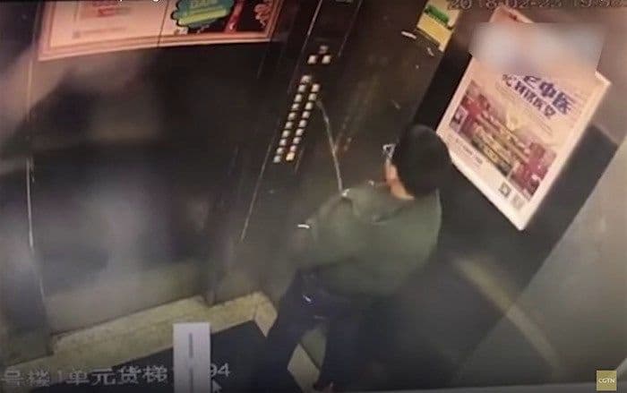 कार्ट्यानं लिफ्टच्या बटनावर सोडली ‘धार’....पुढं काय झालं बघा की राव !!