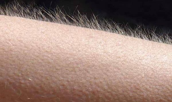 मानवी शरीरातल्या या चार गोष्टींचा खरंतर माणसाला आता बिल्कुल उपयोग नाही..