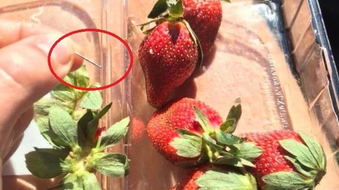 स्ट्रॉबेरीत सुया टोचणाऱ्याला शोध आणि १ लाख डॉलर मिळवा....काय आहे ही अतरंगी ऑफर ?