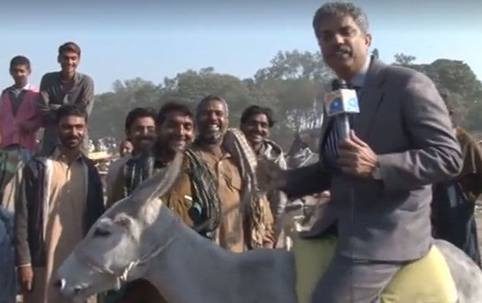 व्हिडीओ ऑफ दि डे : पाकिस्तानी पत्रकाराने चक्क गाढवावर बसून केली रिपोर्टिंग.....वाचा पुढे काय झालं !!