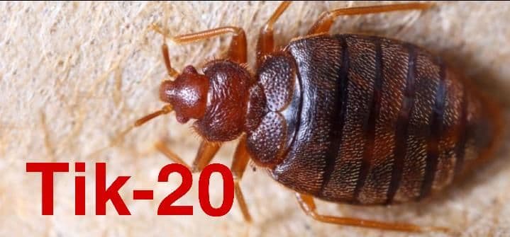 टिक ट्वेंटी घेतलेल्या पेशंटला तपासताना डॉक्टरांचे काय हाल होतात याचे खरेखुरे किस्से, सांगत आहेत डॉ. नितिन पाटणकर!!