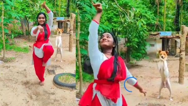 व्हायरल व्हिडिओ : शास्त्रीय नृत्याला चिअर करणारा हा कुत्रा तुम्ही पाहिला का?