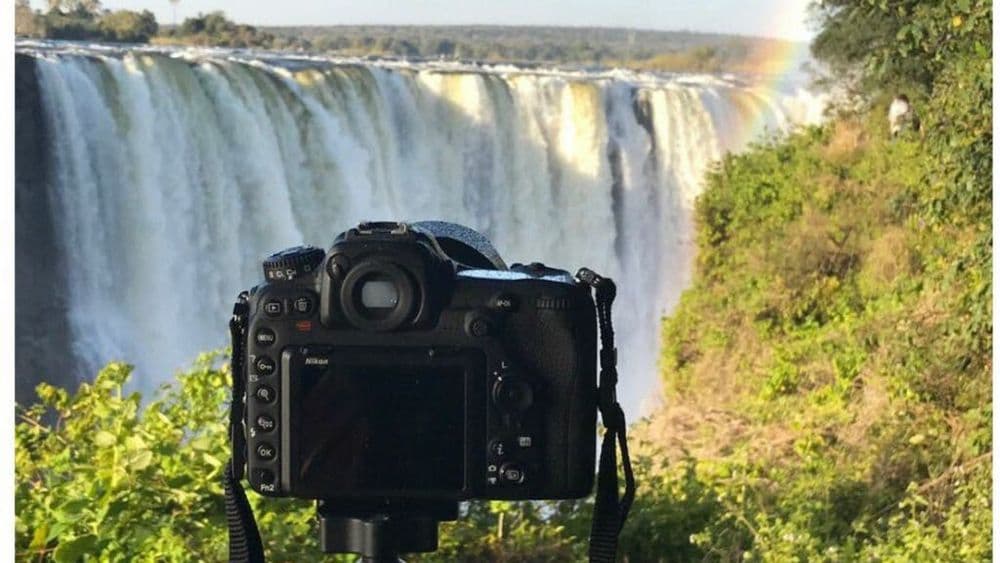 वाइल्डलाइफ फोटोग्राफीसाठी कोणता कॅमेरा व कोणती लेन्स घ्यावी? सल्ला देत आहेत हौशी वाईल्डलाईफ फोटोग्राफर..