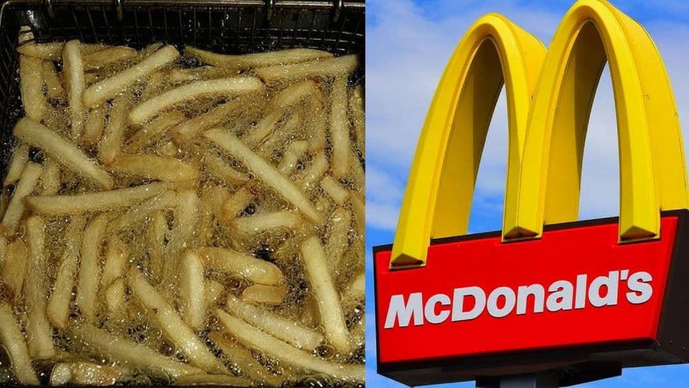 मॅकडॉनल्ड तळलेल्या तेलाचा करतेय एक हटके वापर ! काय आहे त्यांचा इकोफ्रेंडली उपाय ?