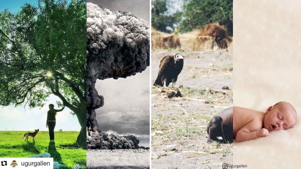 युद्ध आणि शांती : जगाचे दोन वेगवेगळे रूप दाखवणारे हे फोटोग्राफ्स एकदा पाहाच !!