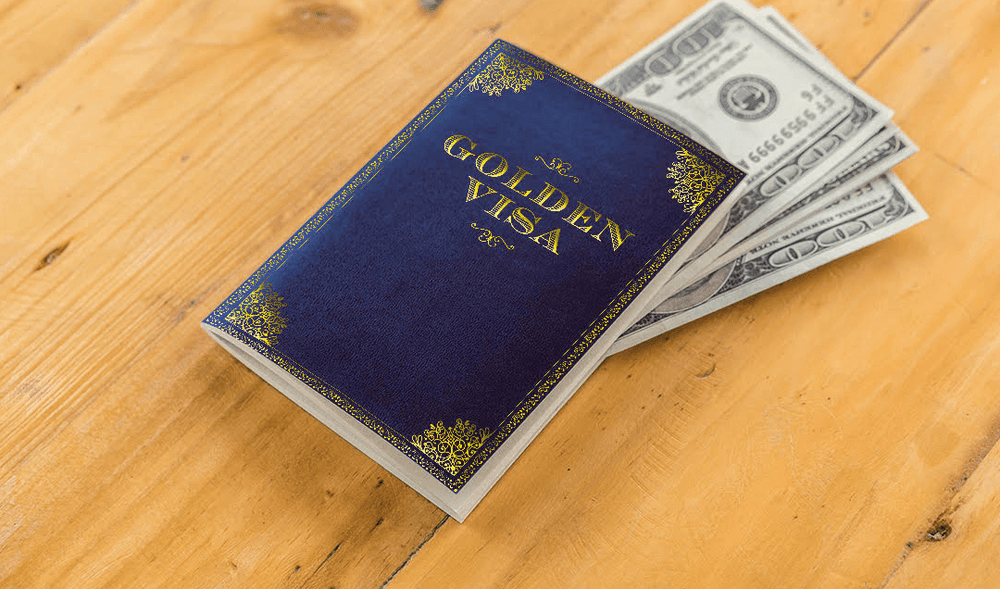 नीरव मोदीला लंडन मध्ये सुरक्षित ठेवणारा 'गोल्डन व्हिसा' आहे तरी काय ?