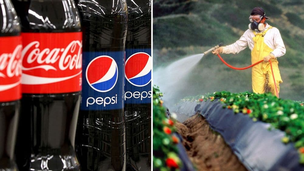 थंड पेयांमध्ये असतात एवढ्या मोठ्या प्रमाणात कीटकनाशके.....हा अहवाल वाचून घाम फुटेल भाऊ !!