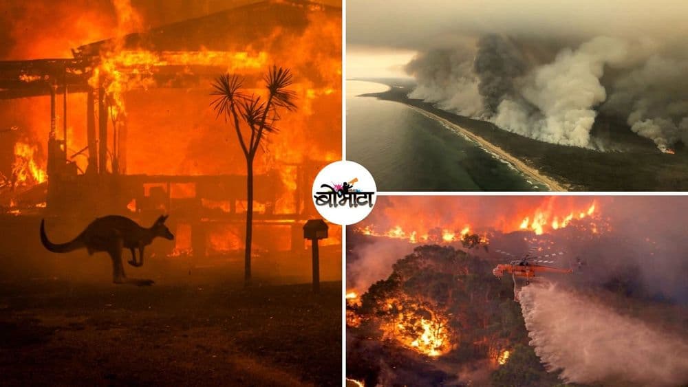 ५५ लाख हेक्टर जमीन, १३०० घरं आणि ५० कोटी प्राण्यांचा घास घेणाऱ्या ऑस्ट्रेलियातल्या आगीची गोष्ट नक्की काय आहे?