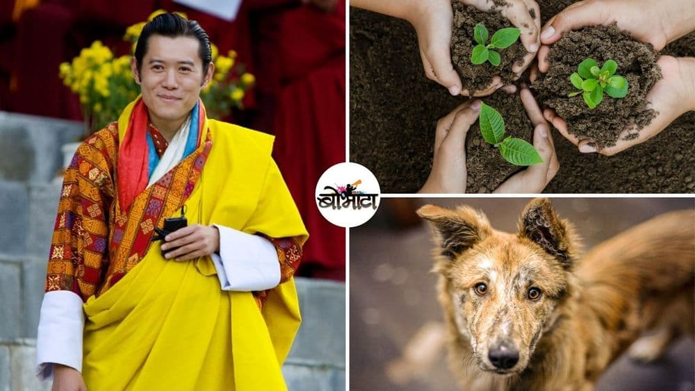 राजाचा वाढदिवस साजरा करण्यासाठी भूतानच्या नागरिकांनी काय केलं पाहा !!