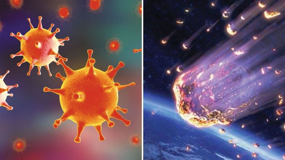 धूमकेतूंनी झाडलेल्या पायधूळीतून अवकाशातील  व्हायरस पृथ्वीवर येतात का ?