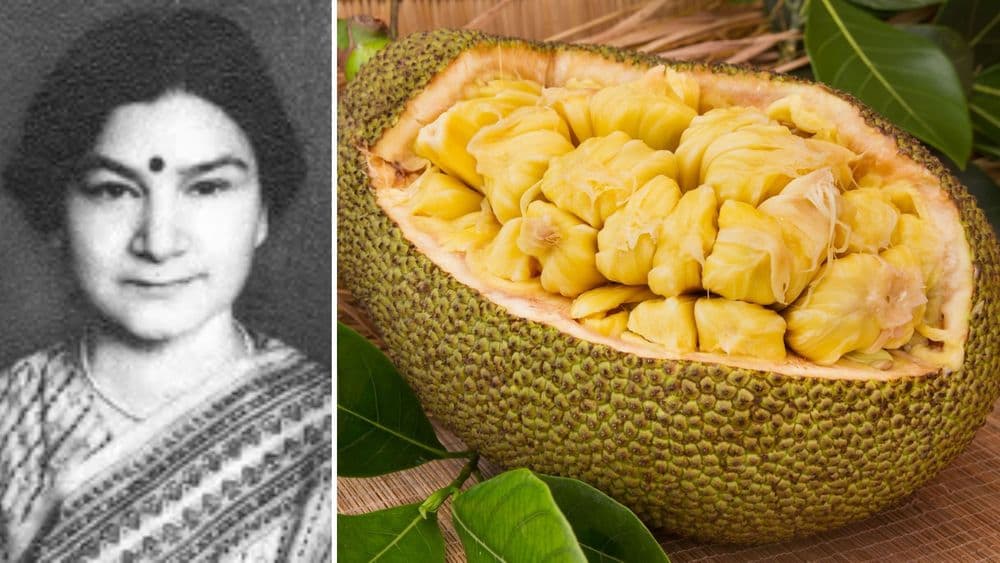 या' महिला शास्त्रज्ञाने संशोधनासाठी दिल्लीहून लंडनला चक्क फणस मागवून घेतला होता!  