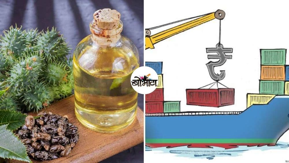 अत्यंत दुर्लक्षित एरंडाचे तेल आज आंतरराष्ट्रीय प्रश्न का झाला आहे? याचा भारतीय शेतकऱ्यांवर काय परिणाम होईल ?