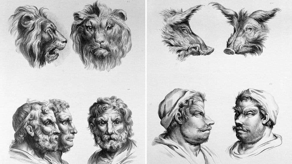 माणूस इतर प्राण्यांपासून उत्क्रांत झाला असता तर असा दिसला असता.. ४०० वर्षांपूर्वी एका चित्रकाराने मांडलेली कल्पना पाह्यलीच पाहिजे!!