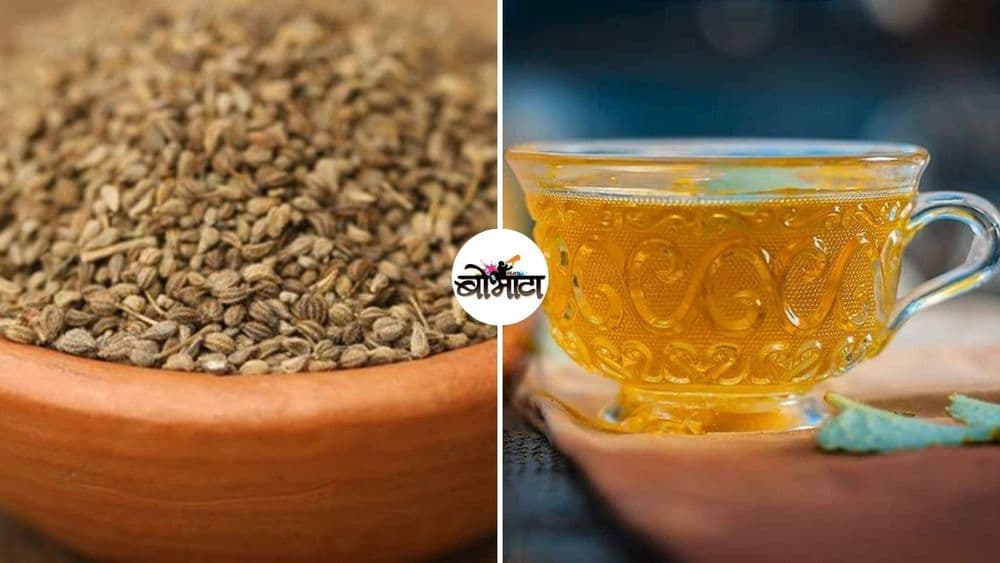 घरचा आयुर्वेद : पोटाच्या विकारांवर रामबाण उपाय असलेल्या ओव्याचे इतर फायदे माहित आहेत का?