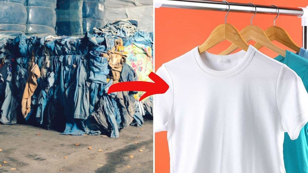 ही कंपनी फेकलेल्या कपड्यातून सुती धागा वेगळा करत आहे, पण का? सुती धाग्याचं काय महत्त्व आहे?