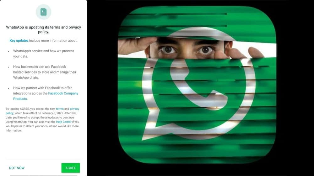 तुमच्या व्हॉट्सऍपची खाजगी माहिती वापरून फेसबुक जाहिराती दाखवणार? व्हॉट्सऍपचे नवीन नियम काय आहेत?