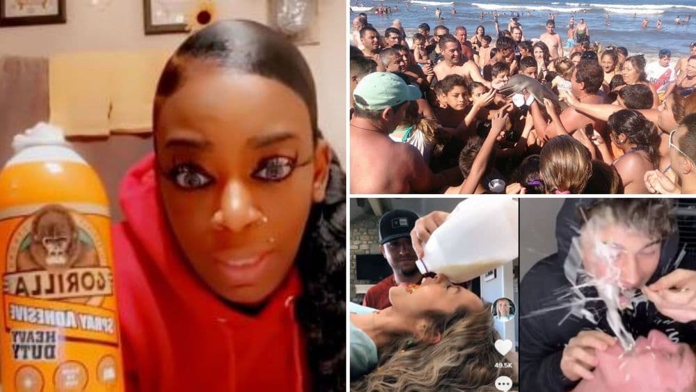 इंटरनेटवर प्रसिद्ध होण्यासाठी लोकांनी केलेल्या ८ एडचाप उचापती !!