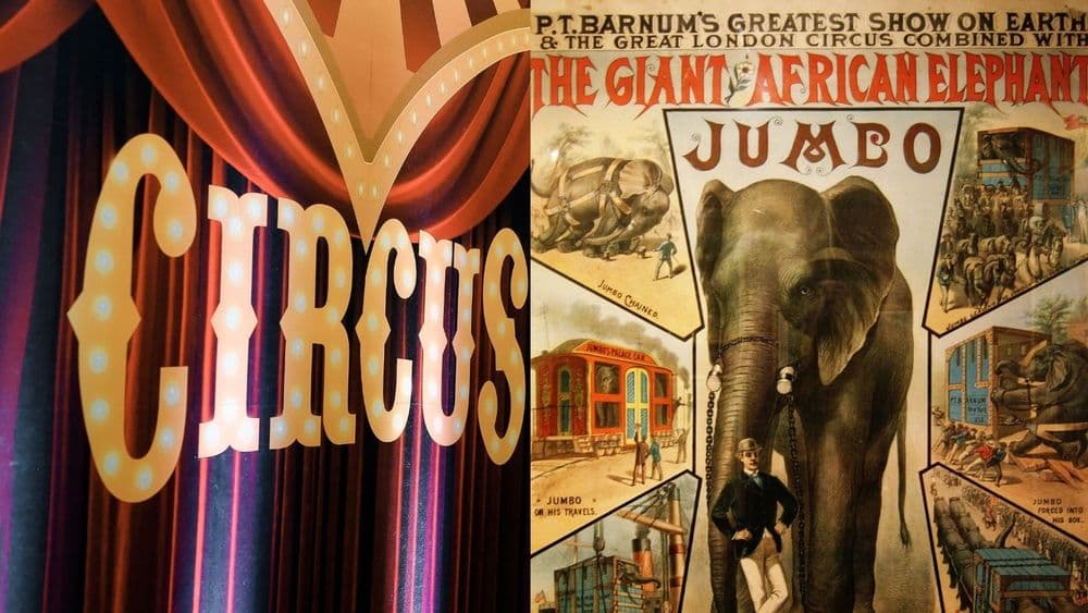 जंबोजेट जंबोजेट झुईइई हे गाणं आठवत असेल पण हा शब्द आला कसा !  