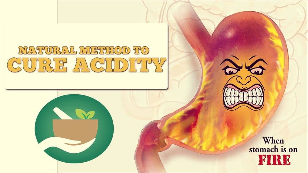 वारंवार पित्ताचा त्रास होतो? हे करा, फायदा होईल...