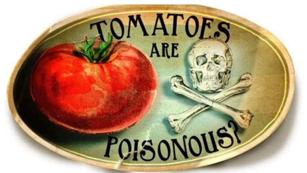 विश्वास बसणार नाही पण एकेकाळी टॉमॅटोवर पण खटला भरला गेला होता !