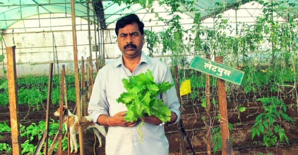 तंत्रज्ञानाची कास धरुन यशस्वी शेती करणारे ज्ञानेश्वर बोडखे! त्यांचा प्रेरणादायी प्रवास वाचायलाच हवा!!