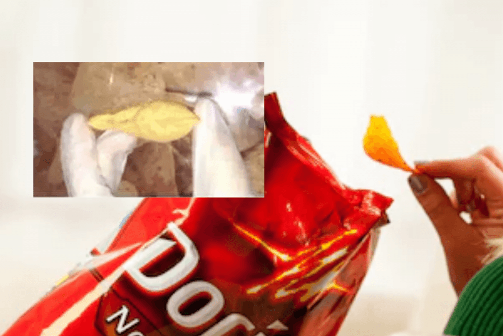 ७७ लाखांपर्यंत किंमत गेलेला चिप्सचा तुकडा. हे घडलं कसं? पुढे त्याचं काय झालं?