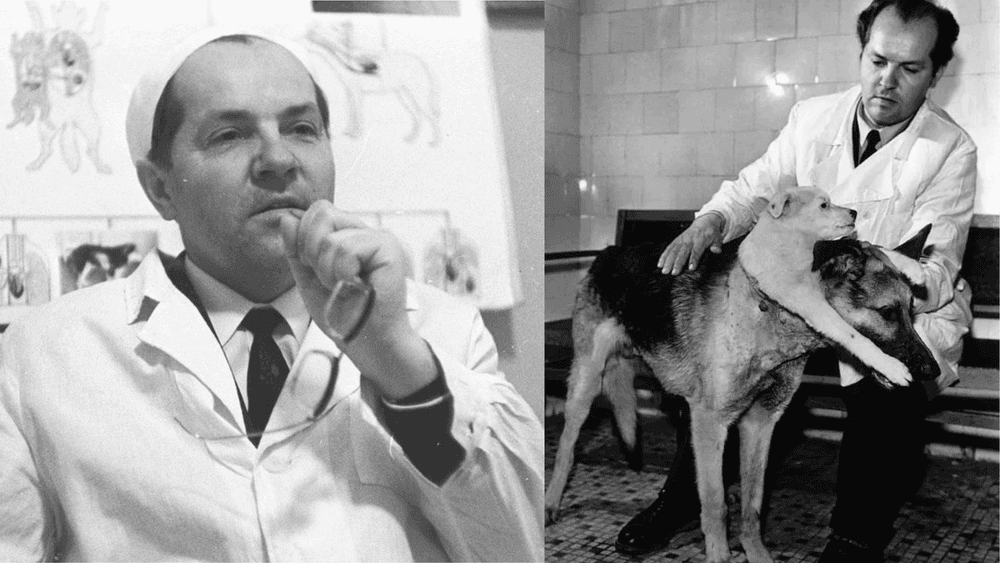 दोन तोंडांचा कुत्रा बनवू पाहणाऱ्या एका डॉक्टरची गोष्ट!! त्या कुत्र्यांचे पुढे काय झाले?