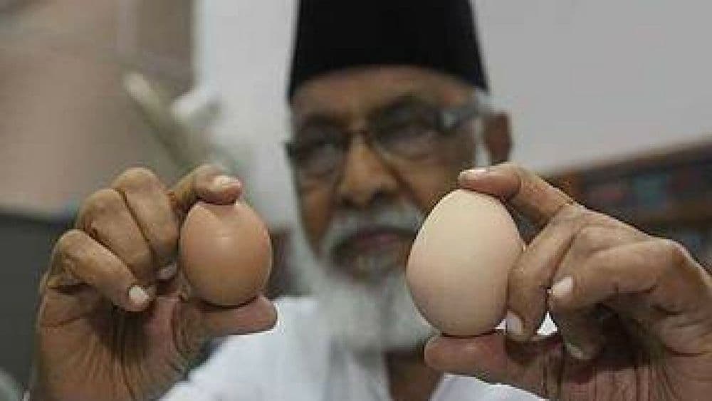 अंडे का फंडा...प्लास्टिकची अंडी कशी ओळखाल ? वाचा !!!