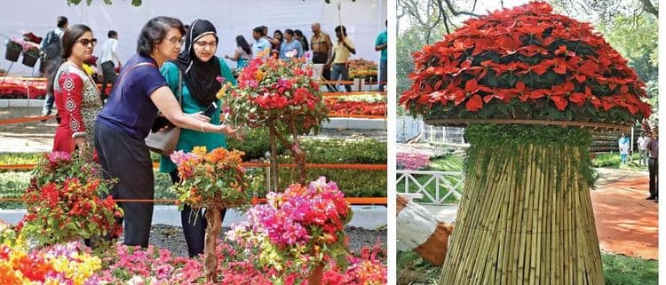पुणेकरांनो, २ लाख फुलांचे प्रकार, वेगवेगळी झाडे, बोन्साय आणि रोझ शो असलेला फुलोत्सव आलाय