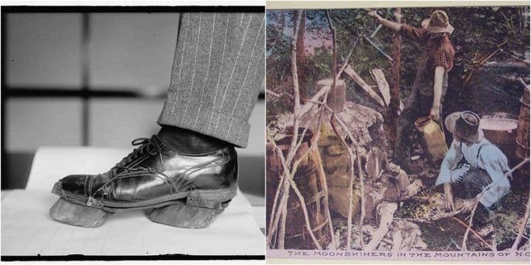 फोटो स्टोरी : अमेरिकन दारुबंदी आणि गाईच्या खुरांच्या बुटांची आयडिया. सरकार नक्की कसं मामा बनलं?