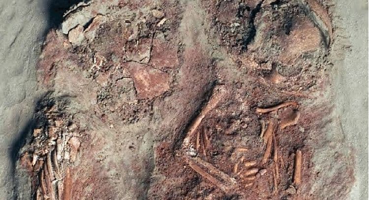 इतिहासात पहिल्यांदाच जुळ्या मुलांचे अवशेष सापडलेत....या संशोधनातून काय माहिती मिळाली आहे ?