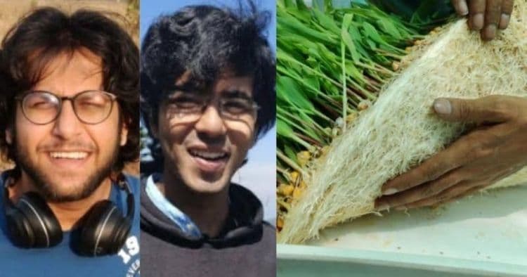 कमी पाण्यात आणि तेही मातीशिवाय शेती कशी करता येऊ शकते? या भारतीय तरुणांचा शोध काय आहे?