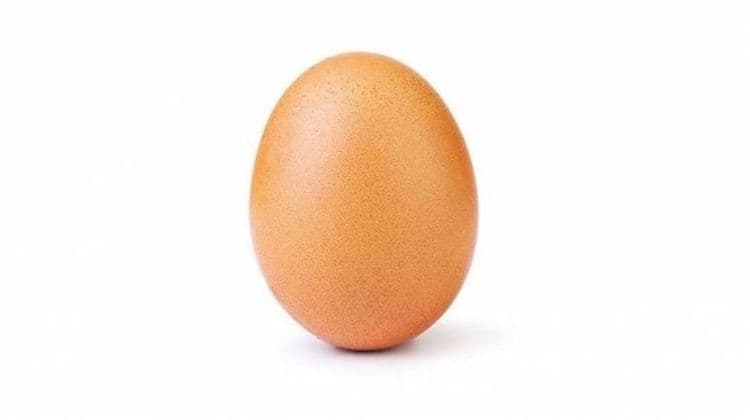 जगात सर्वाधिक इन्स्टा-लाईक्स मिळवणाऱ्या या अंड्यात काय खास आहे? आता तर हे गिनिज बुकातही पोचले!!