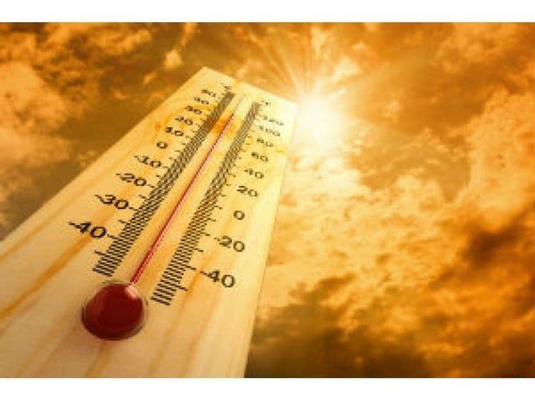 हे उपाय पळवून लावतील ऑक्टोबर हीट...