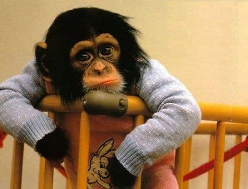 ८.	online मागवलेल्या वस्तूंची चातकाप्रमाणे वाट बघणे