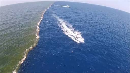 हिन्द महासागर आणि अटलांटिक महासागर : या दोन समुद्रांचं पाणी एकमेकांत का मिसळत नाही?