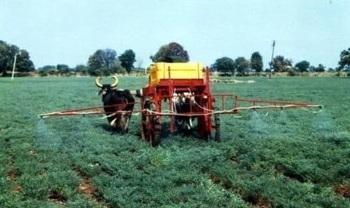 ८. बैलांचा वापर करून कीटकनाशक फवारणी