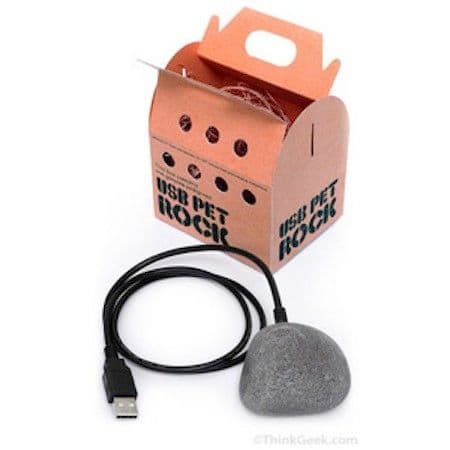 १५. पेट रॉक