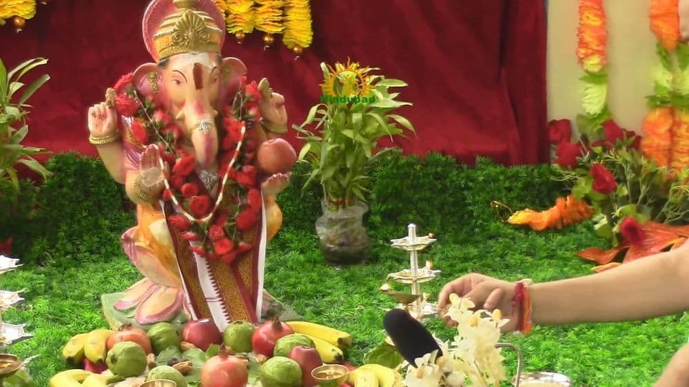 गणपतीबाप्पाच्या पूजेतल्या पत्रीचं आयुर्वेदातलं महत्व, आपल्याला माहित असायलाच हवेत हे औषधी उपयोग..